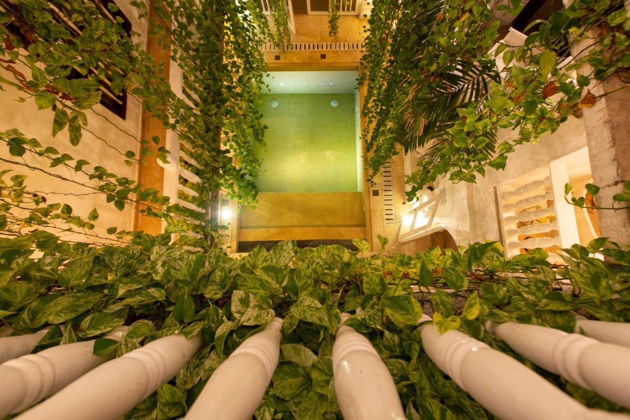 Leones De Alba Boutique Cartagena