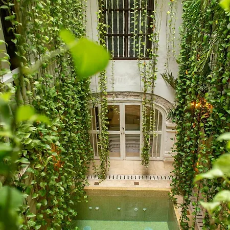 Hotel Leones De Alba Boutique Cartagena