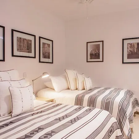 Leones De Alba Boutique Cartagena