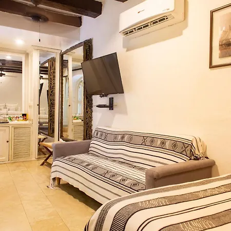 Leones De Alba Boutique Cartagena